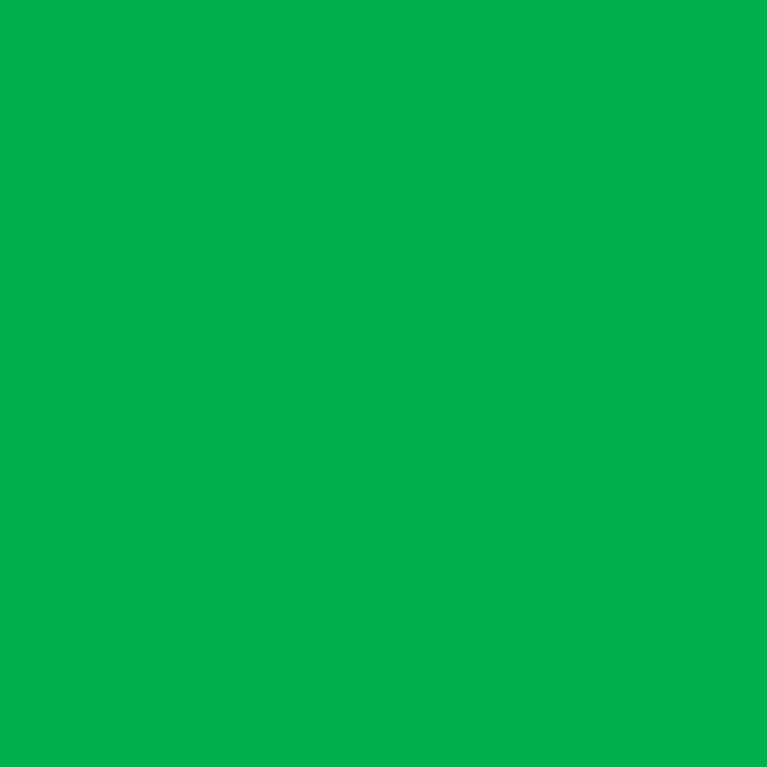 DK 4305 - Monstera Green - 400ml