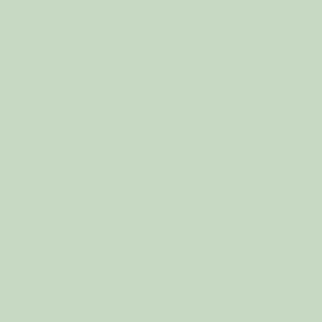 DK 4307 - Mambo Green - 400ml