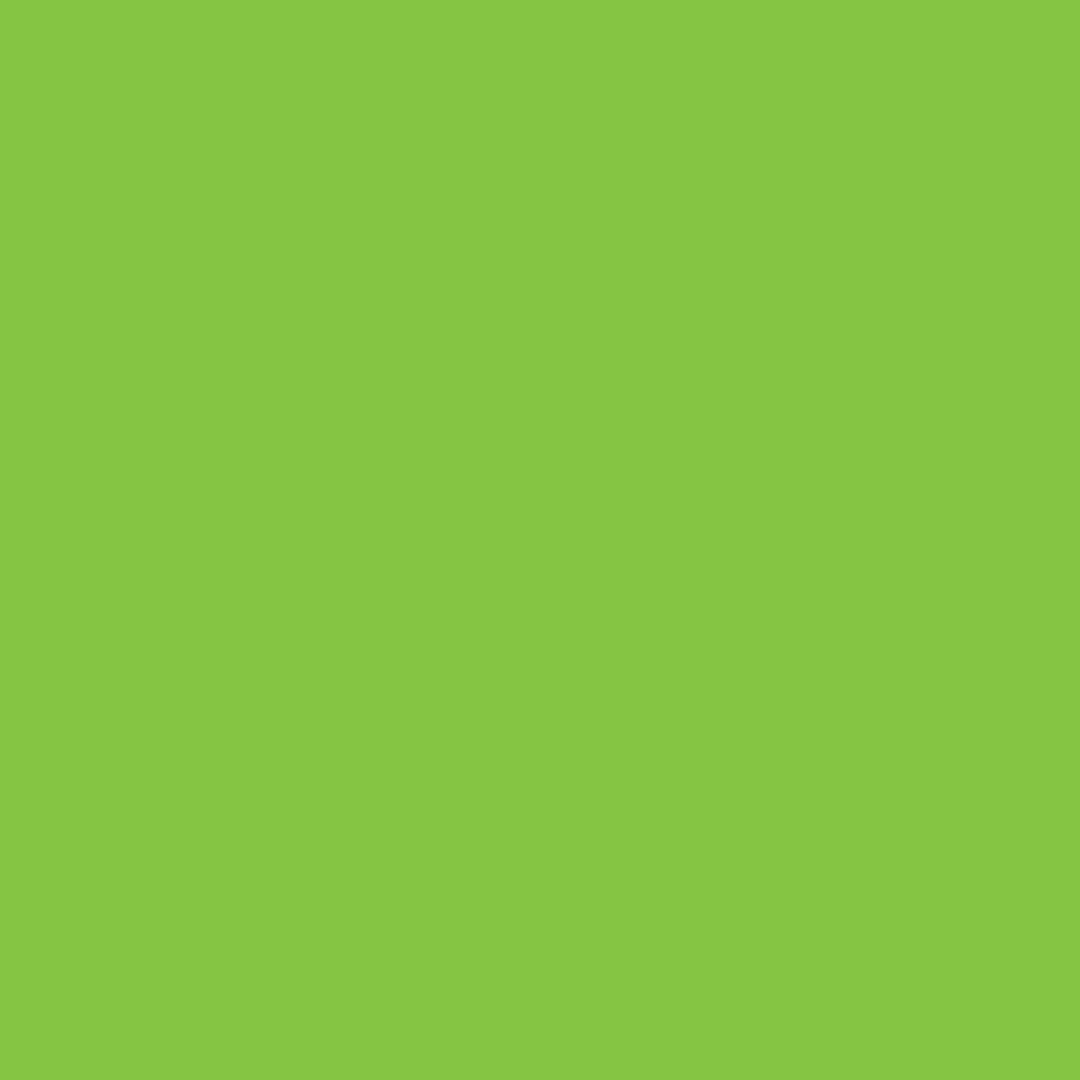 DK 4330 - Green Tea - 400ml