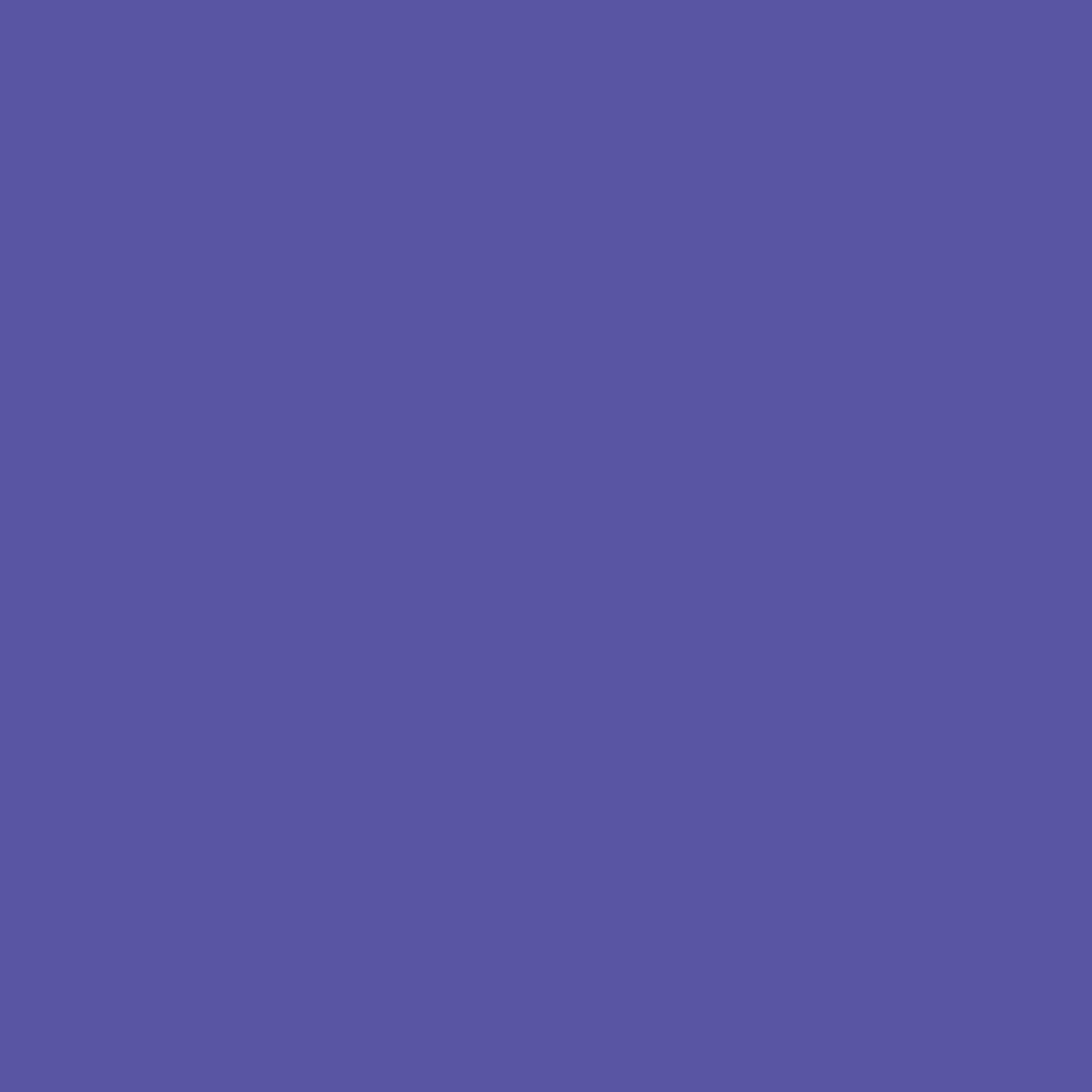 DK 4338 -  Violet - 400ml