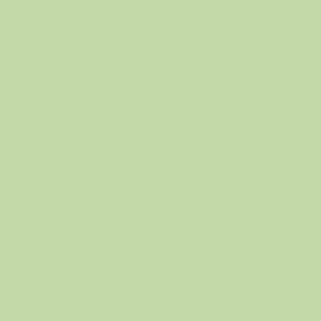 Paradise Green - DK 4306 - 400ml
